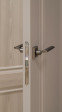 Межкомнатная дверь QB-7 ПГ Премиум капучино Quest doors